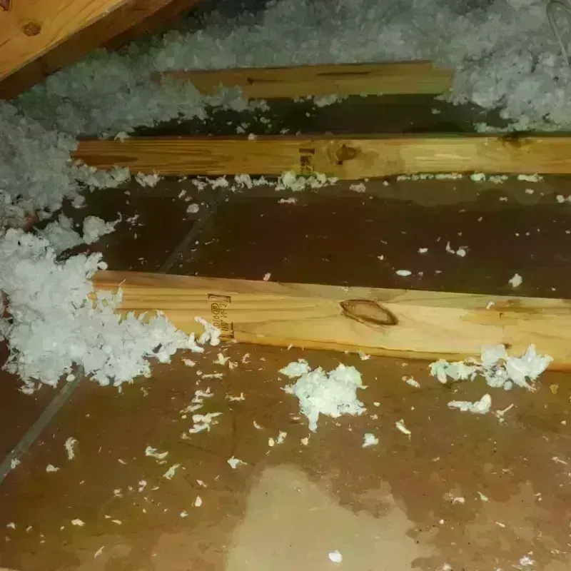 Attic Water Damage in Mills River, NC